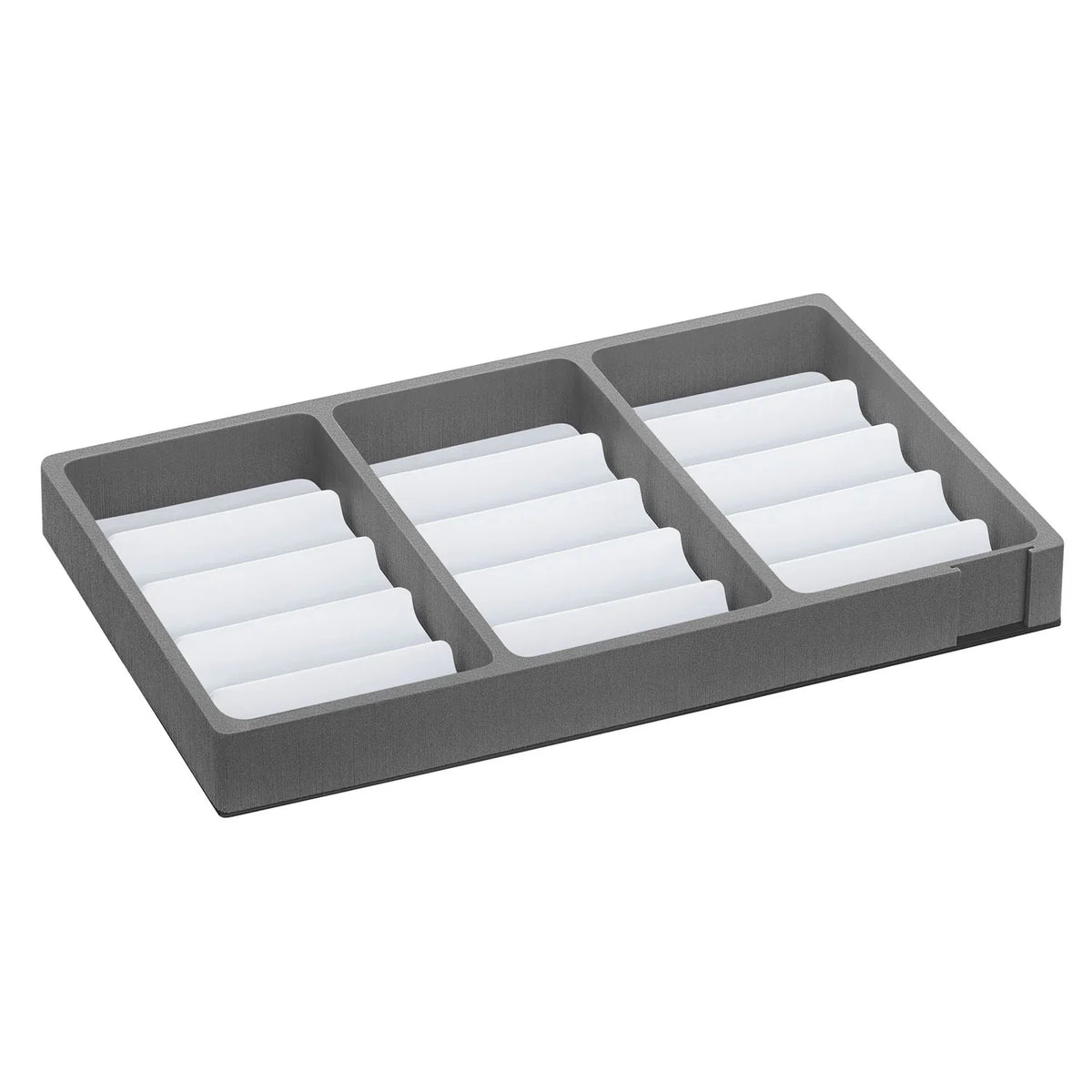 Tableau mit Inlays TB-03 - 5 cm - Pull Up Samplecase